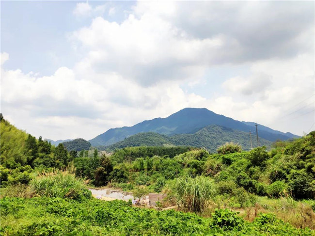 呼吸鮮氧，踐行公益&mdash;&mdash;廣東博皓公益活動：星溪線公益環(huán)?；顒?  -6