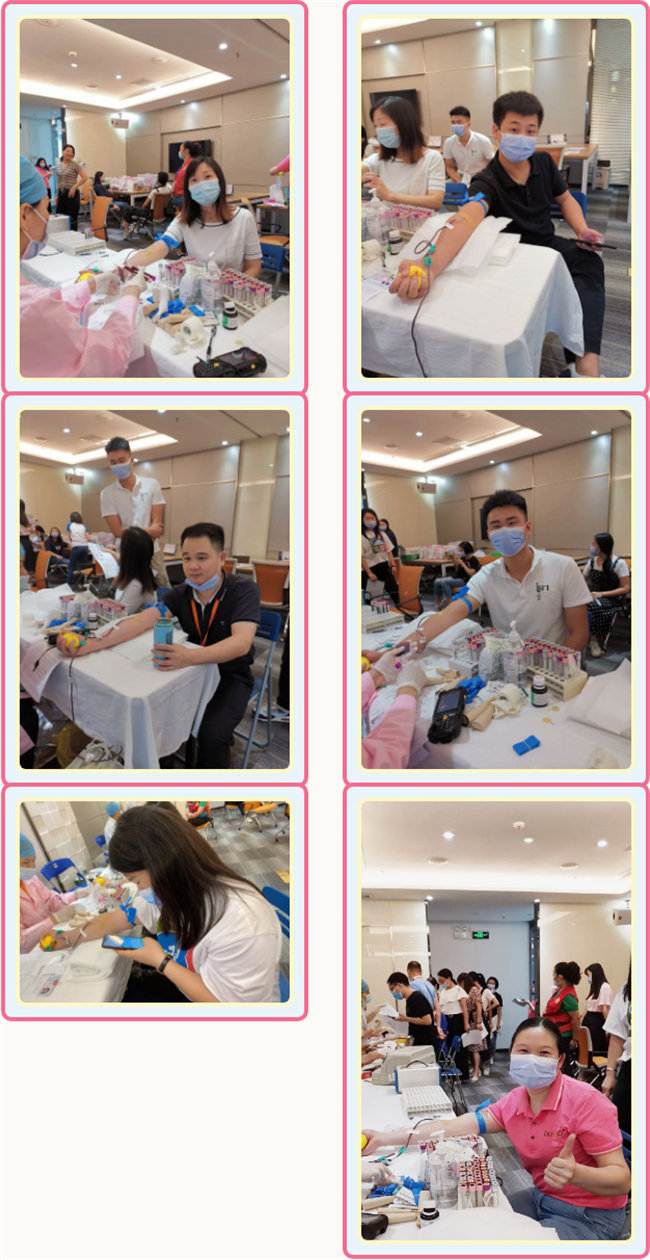 捐獻(xiàn)青春熱血，彩繪人生畫卷&mdash;&mdash;廣東博皓總班委組織了一次&ldquo;捐我熱血，呵護(hù)生命&rdquo;的無償獻(xiàn)血公益活動    -3