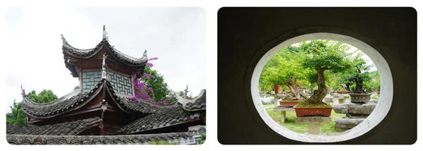 多彩貴州，魅力天下，2021年廣東博皓快樂貴州行-14