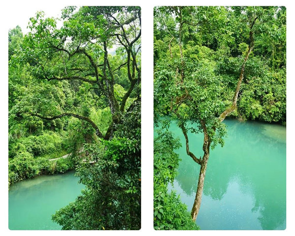 多彩貴州，魅力天下，2021年廣東博皓快樂貴州行-29