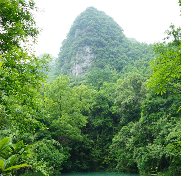 賞華夏大地，游多彩貴州-－2021年廣東博皓快樂行-2