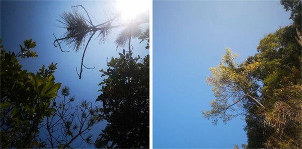 廣東博皓 博行天下丨虎年第一爬，挑戰(zhàn)從化老虎頭   -1