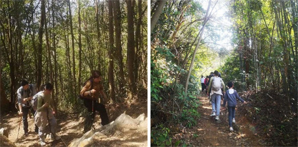 廣東博皓 博行天下丨虎年第一爬，挑戰(zhàn)從化老虎頭   -2