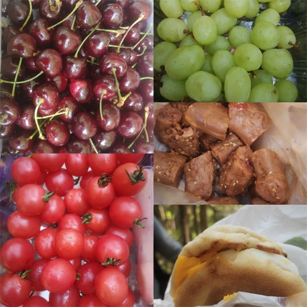 廣東博皓 博行天下丨虎年第一爬，挑戰(zhàn)從化老虎頭   -5