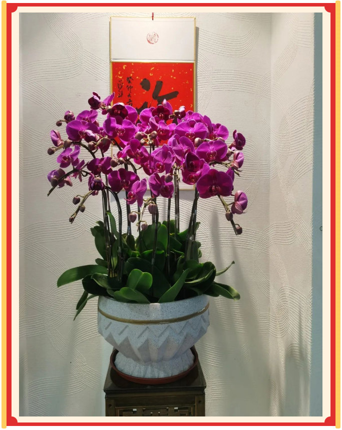 廣東博皓開工大吉丨金虎騰躍，兔來運(yùn)轉(zhuǎn)           -23