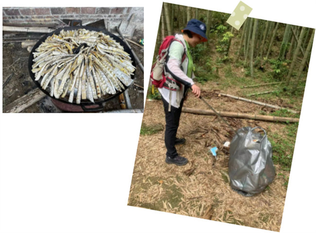 生命和綠色擁抱，人類與生態(tài)共存&mdash;&mdash;2023年廣東博皓公益活動   -6