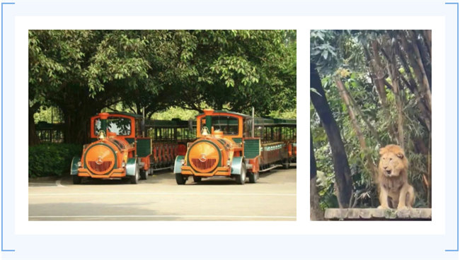 大手牽小手，快樂親子游！廣東博皓2023年親子游活動        -7