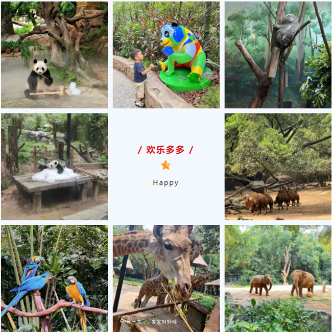 大手牽小手，快樂親子游！廣東博皓2023年親子游活動        -8