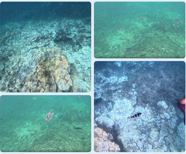 風(fēng)雨兼程二十載，馬來(lái)之旅續(xù)新篇&mdash;&mdash;2024年博皓沙巴風(fēng)情之旅     -6