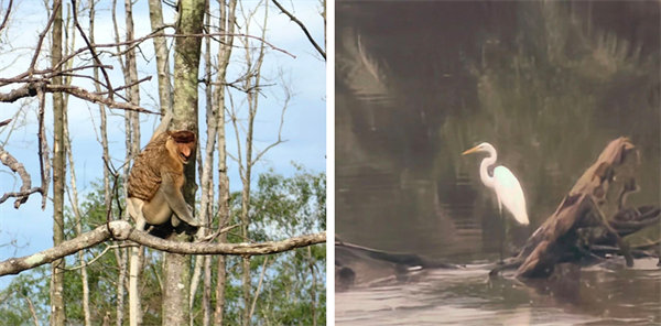 廿載風(fēng)云一路行，馬來風(fēng)情共見證&mdash;&mdash;2024廣東博皓馬來西亞之旅   -13