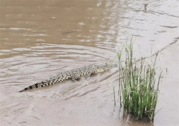 廿載風(fēng)云一路行，馬來風(fēng)情共見證&mdash;&mdash;2024廣東博皓馬來西亞之旅   -15