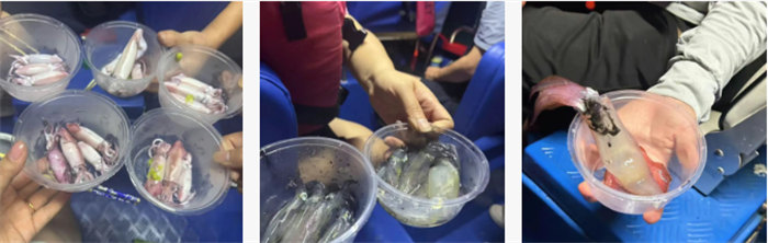 攜手博皓逐夢行，巽寮灣上展豪情&mdash;廣東博皓2025年巽寮灣之旅    -10