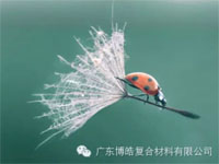 【博皓感悟】成功，要“借力”，不要“盡力”