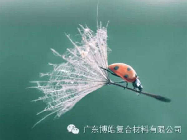 【博皓感悟】成功，要&ldquo;借力&rdquo;，不要&ldquo;盡力&rdquo;